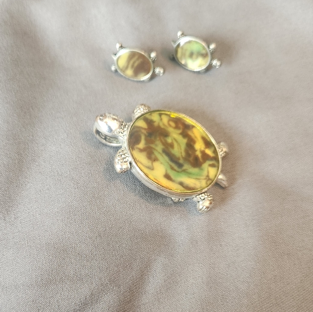 Abalone Sea Turtle Pendant/ Broach & Earrings